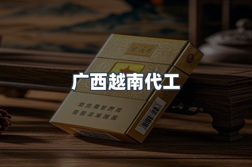广西越南代工